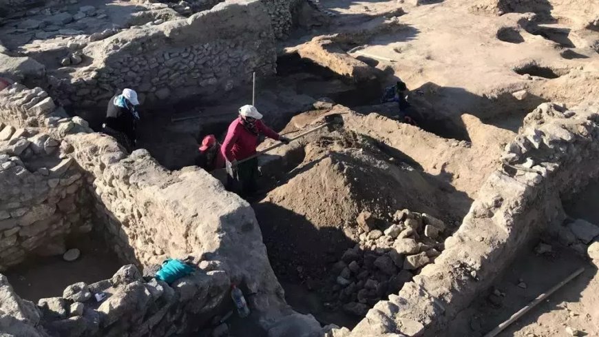В Турции нашли ковер возрастом 4 300 лет