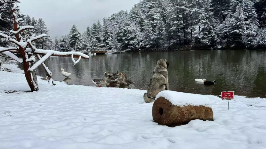 Снегопад и бури обрушились на Турцию