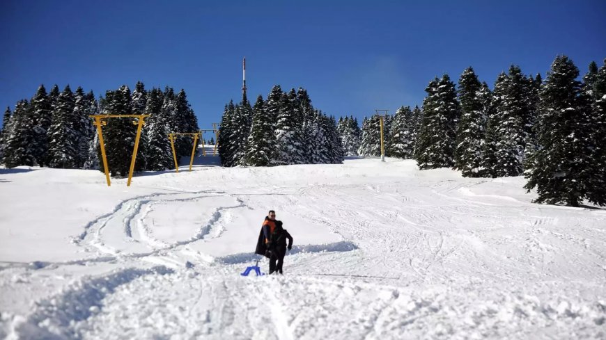 Озвучены цены отдыха на горнолыжных курортах Турции
