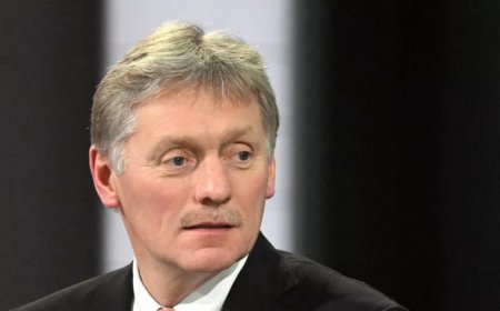 Песков прокомментировал визит Путина в Турцию
