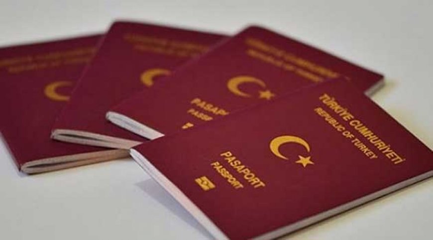 Студенты отказываются от турецкого гражданства