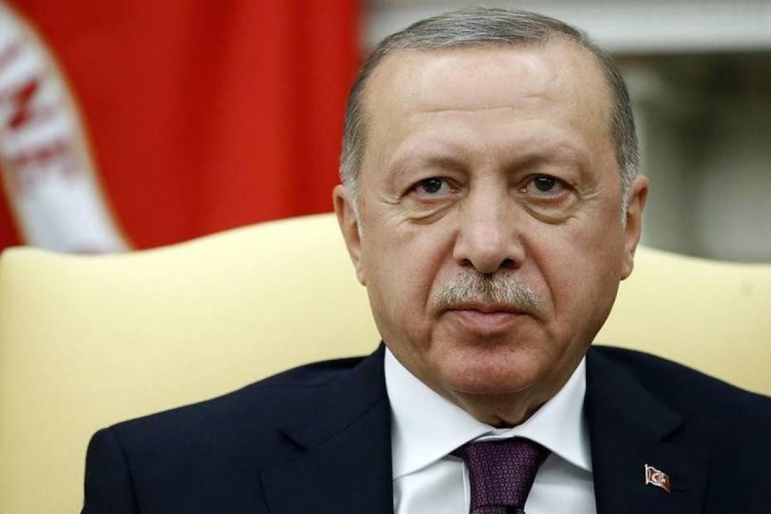 Эрдоган: Турция готова сотрудничать с РФ