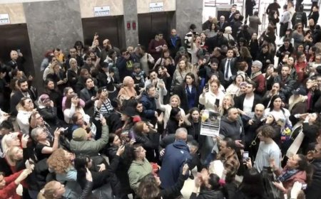 Убийца кота в Стамбуле не сядет в тюрьму