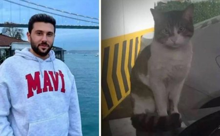 Решение суда по убийце кота в Стамбуле вновь изменено