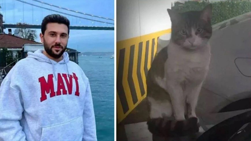 Решение суда по убийце кота в Стамбуле вновь изменено