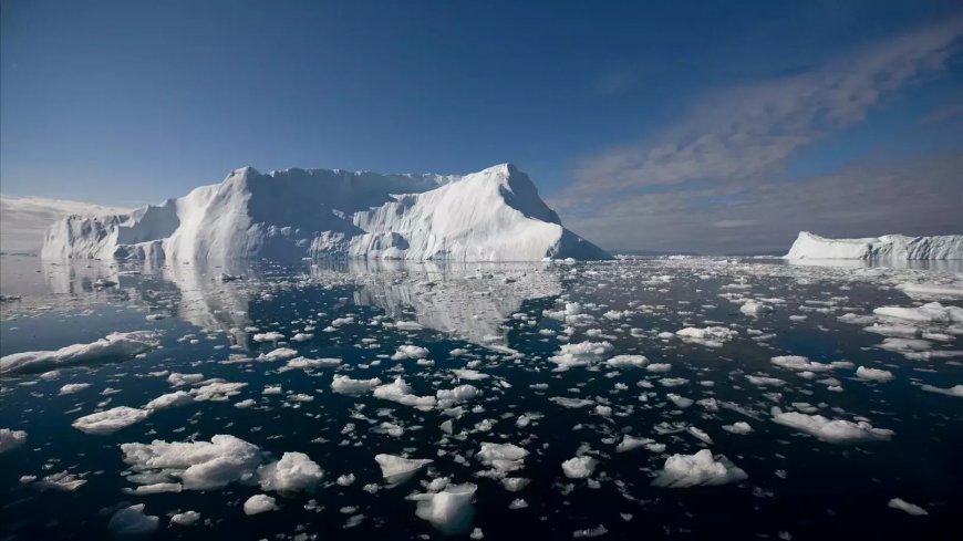 Турецкий ученый возглавит проект по восстановлению Арктики