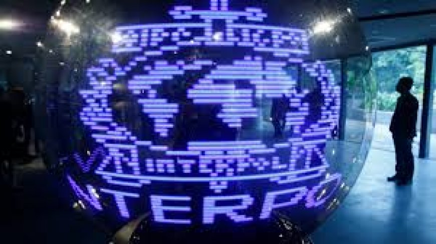 Из Турции депортировали россиянина, разыскиваемого Интерполом