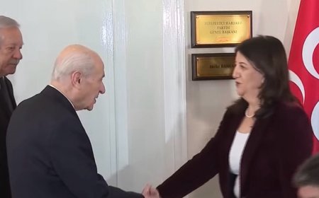 Делегация DEM встретилась с лидером MHP Бахчели