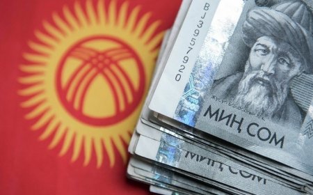 Кыргызстан нарастил ВВП на 10,8%