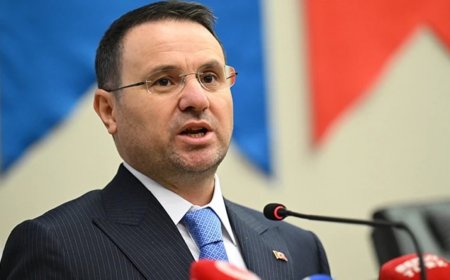 Акын Гюрлек объявил об операции против торговли яйцеклетками в 14 провинциях