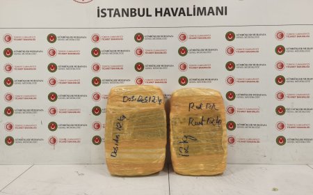 В аэропорту Стамбула изъяли 25 кг марихуаны