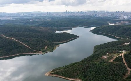 Стамбул: уровень воды в водохранилище Алибей достиг критической отметки
