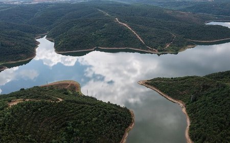 Стамбульские водохранилища: наполненность выросла на 30% за год