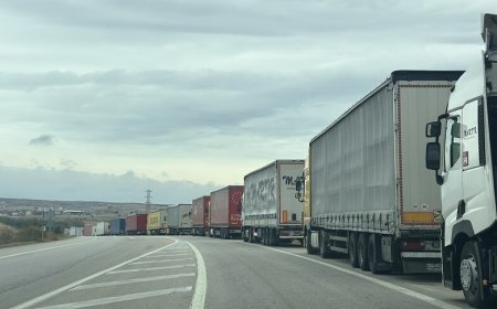 Три министерства Турции работают над проблемой шенгенских виз для водителей фур