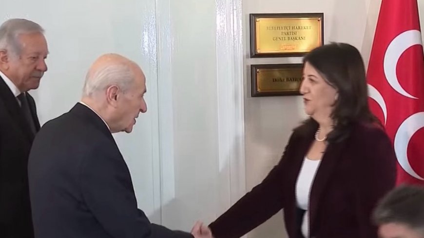 Делегация DEM встретилась с лидером MHP Бахчели