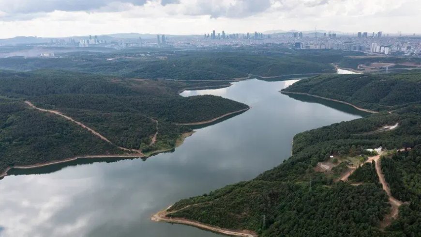 Стамбул: уровень воды в водохранилище Алибей достиг критической отметки