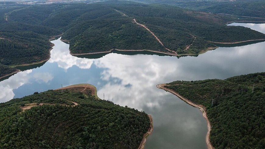 Стамбульские водохранилища: наполненность выросла на 30% за год