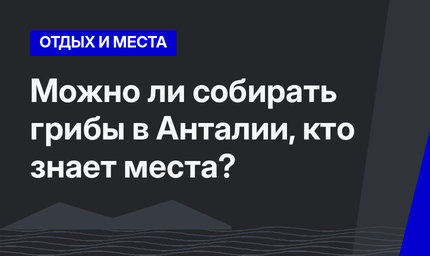    Можно ли собирать грибы в Анталии, кто знает места?