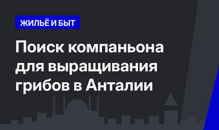 Поиск компаньона для выращивания грибов в Анталии