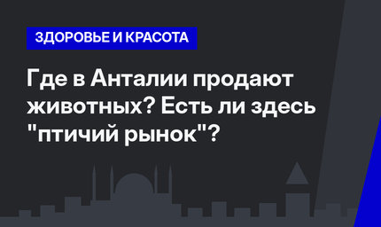 Где в Анталии продают животных? Есть ли здесь "птичий рынок"?