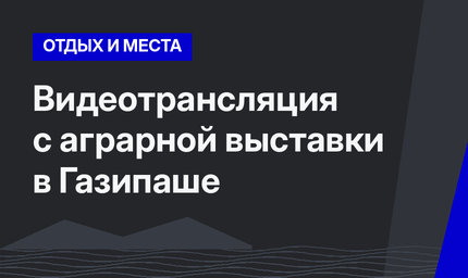 Видеотрансляция с аграрной выставки в Газипаше