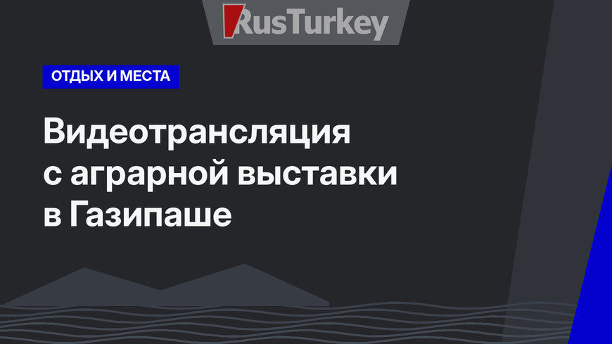 Видеотрансляция с аграрной выставки в Газипаше