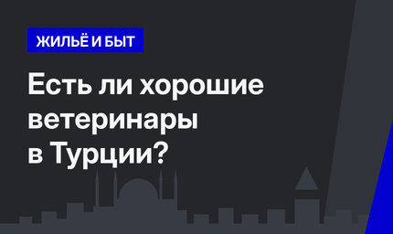 Есть ли хорошие ветеринары в Турции?