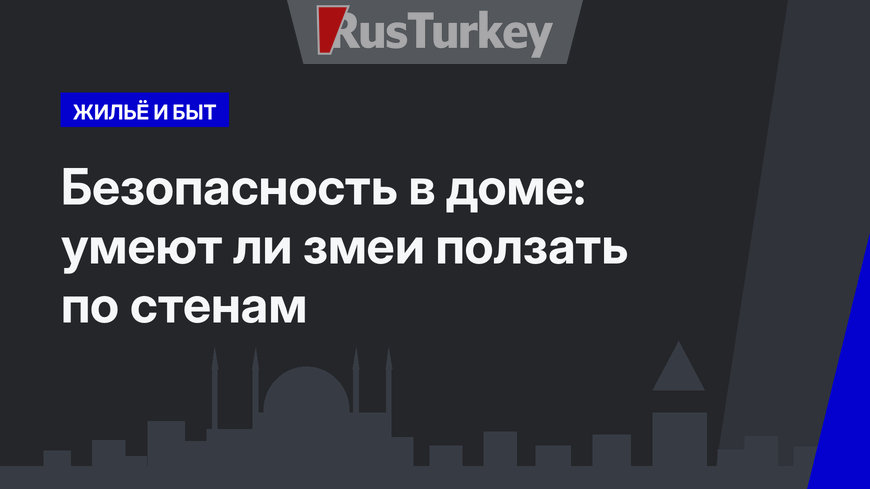 Безопасность в доме: умеют ли змеи ползать по стенам