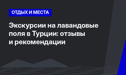 Экскурсии на лавандовые поля в Турции: отзывы и рекомендации