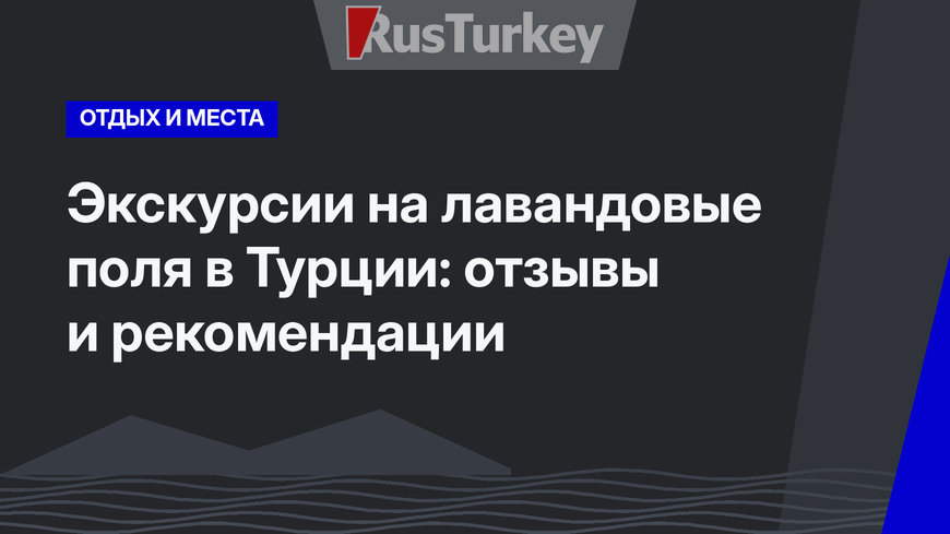 Экскурсии на лавандовые поля в Турции: отзывы и рекомендации