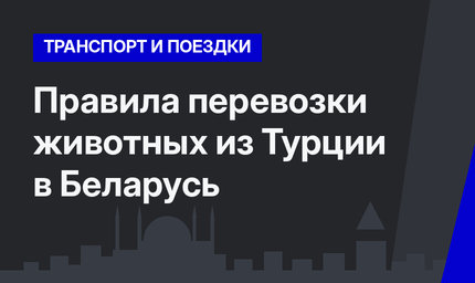 Правила перевозки животных из Турции в Беларусь