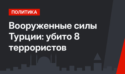 Вооруженные силы Турции: убито 8 террористов
