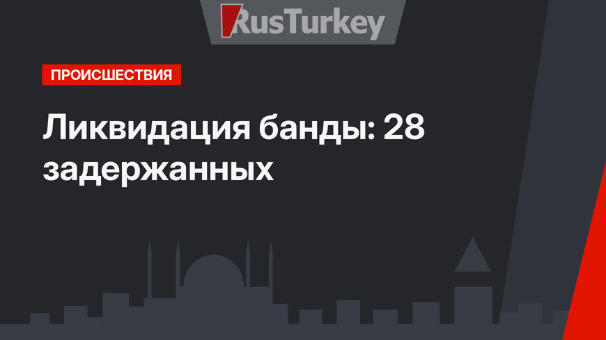 Ликвидация банды: 28 задержанных