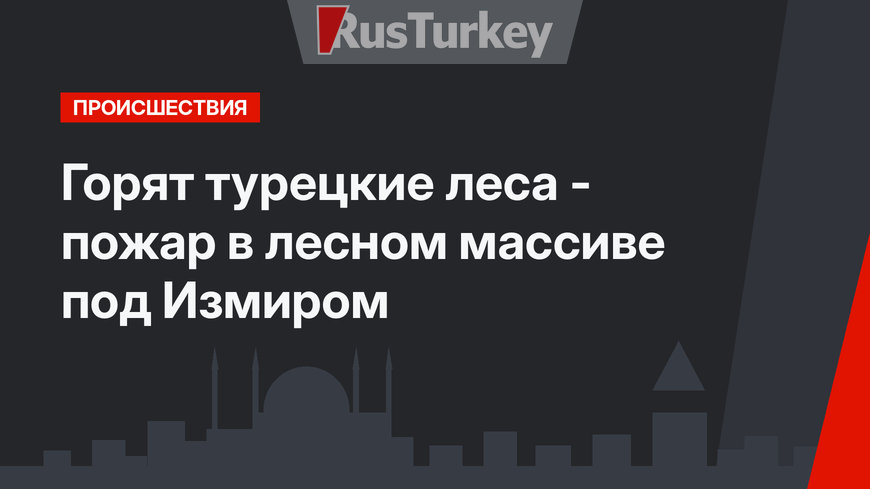  Горят турецкие леса - пожар в лесном массиве  под Измиром