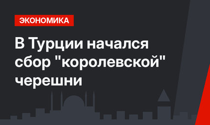 В Турции начался сбор "королевской" черешни