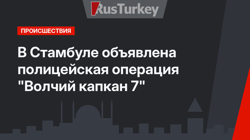 В Стамбуле объявлена полицейская операция "Волчий капкан 7"