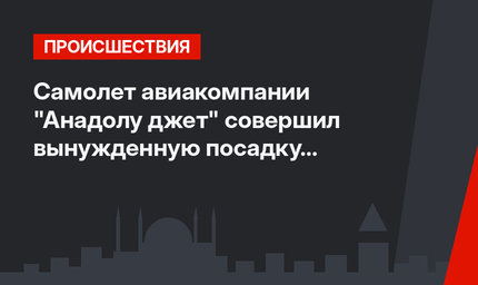 Самолет авиакомпании "Анадолу джет" совершил вынужденную посадку в Самсуне