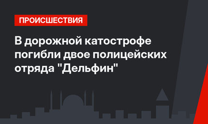 В дорожной катострофе погибли двое полицейских отряда "Дельфин"