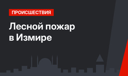 Лесной пожар в Измире