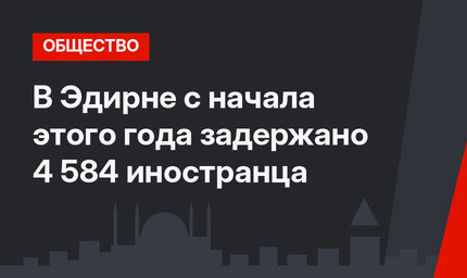 В Эдирне с начала этого года задержано 4 584 иностранца