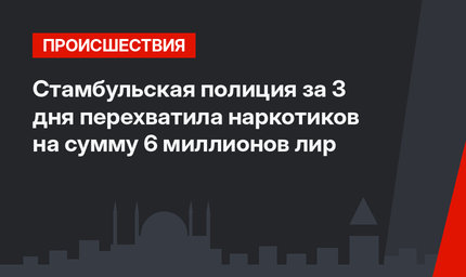 Стамбульская полиция за 3 дня перехватила наркотиков на сумму 6 миллионов лир
