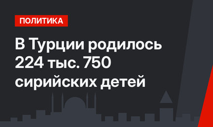  В Турции родилось 224 тыс. 750 сирийских детей