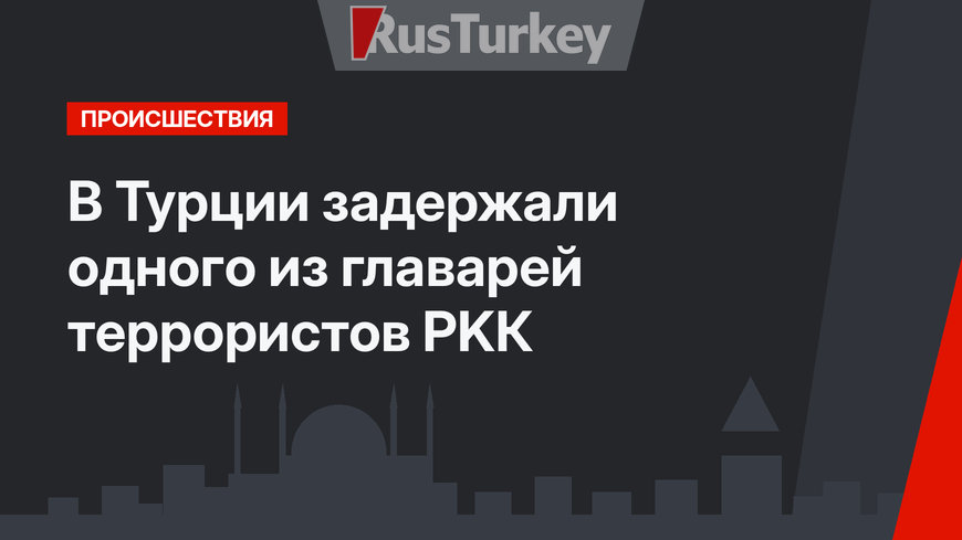 В Турции задержали одного из  главарей террористов PKК