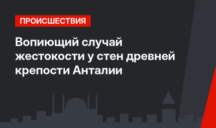  Вопиющий случай жестокости  у стен древней крепости Анталии