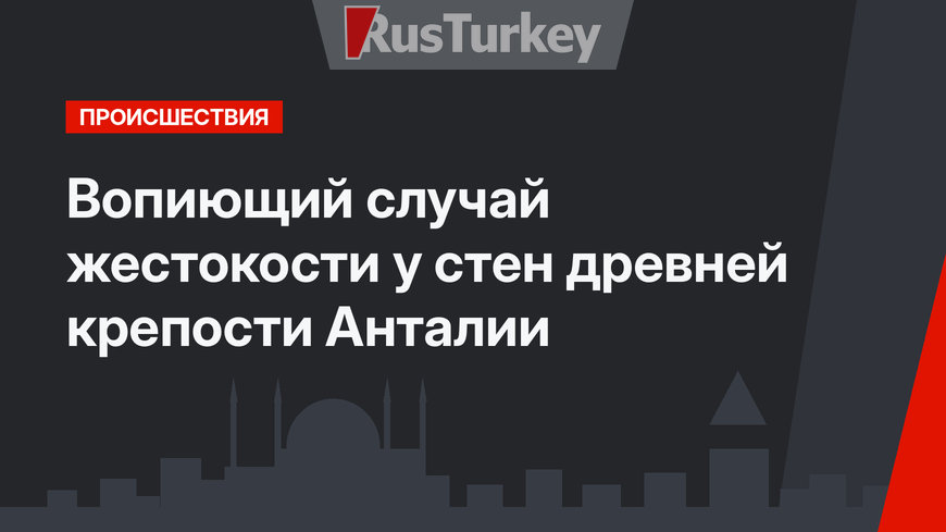  Вопиющий случай жестокости  у стен древней крепости Анталии