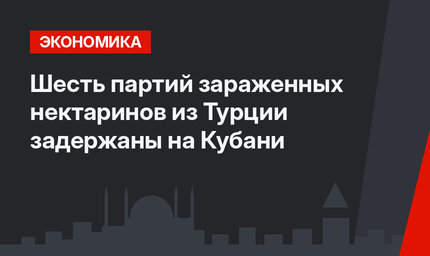Шесть партий зараженных нектаринов из Турции задержаны на Кубани