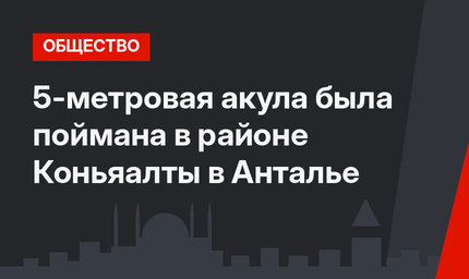 5-метровая акула была поймана в районе Коньяалты в Анталье