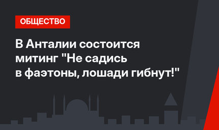 В Анталии состоится митинг  "Не садись  в фаэтоны, лошади гибнут!"