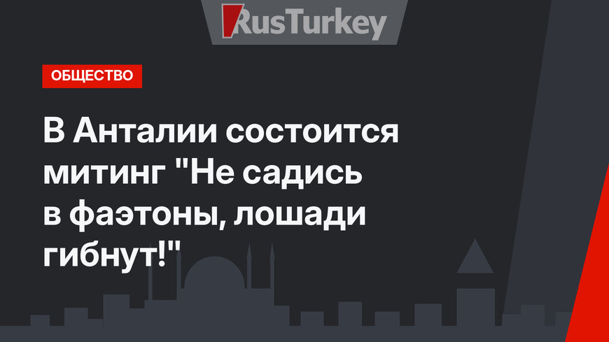В Анталии состоится митинг  "Не садись  в фаэтоны, лошади гибнут!"