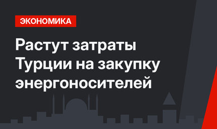 Растут затраты Турции на закупку энергоносителей